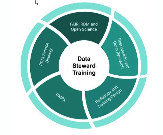 Data Steward Training